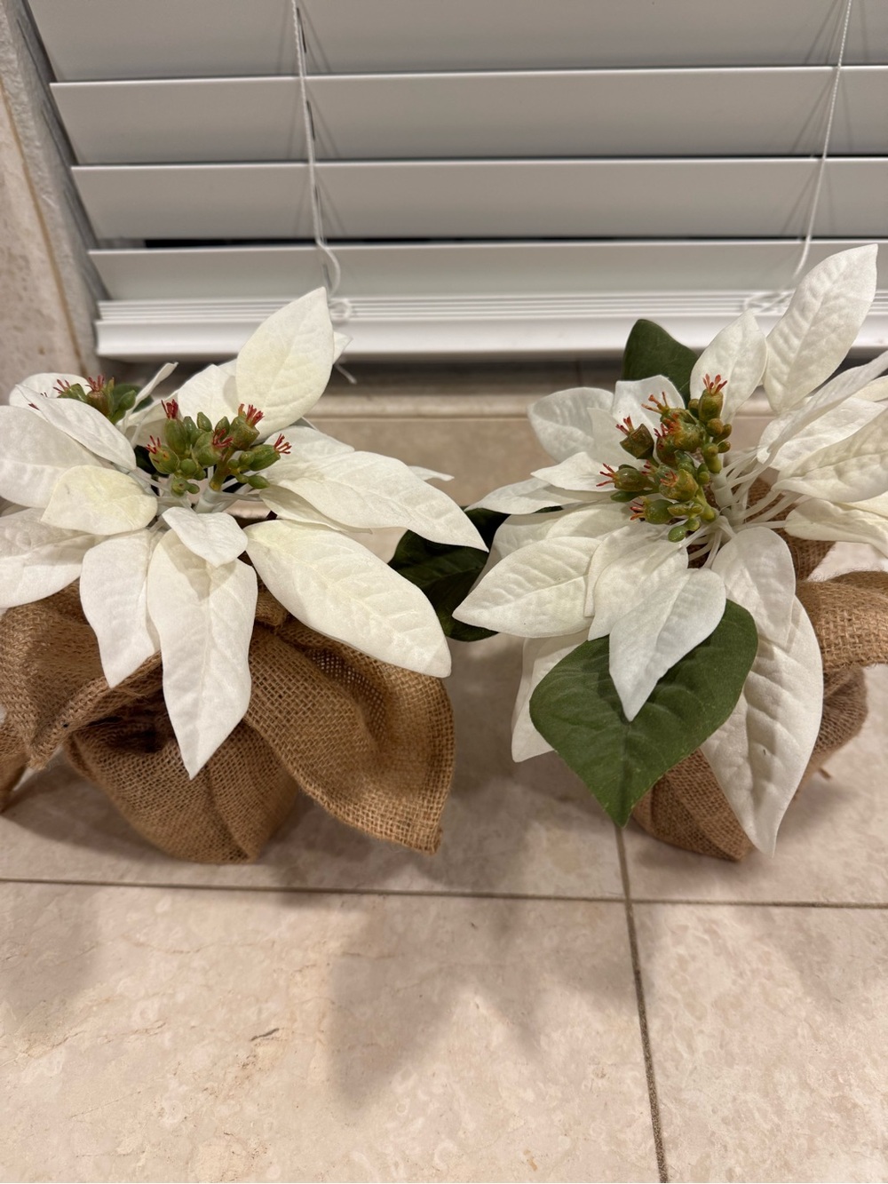 Pottery Barn White Poinsettia Burlap Pair